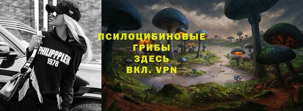 ешки Абинск
