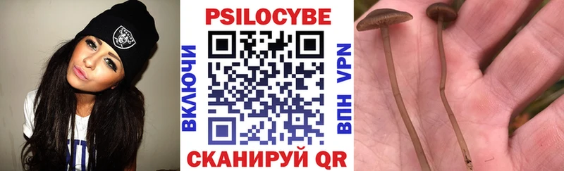 Галлюциногенные грибы мухоморы  Тутаев 
